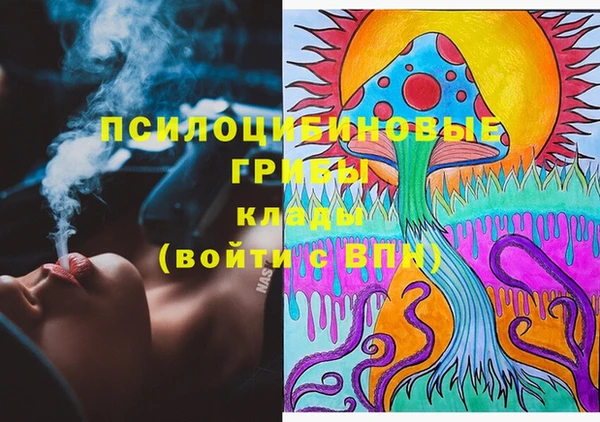 индика Белоозёрский