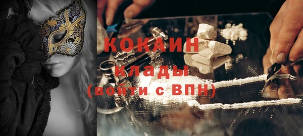индика Белоозёрский