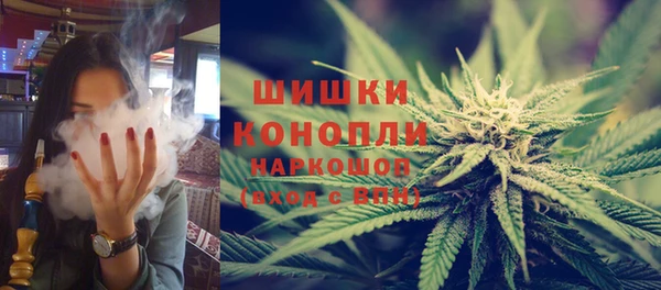 индика Белоозёрский