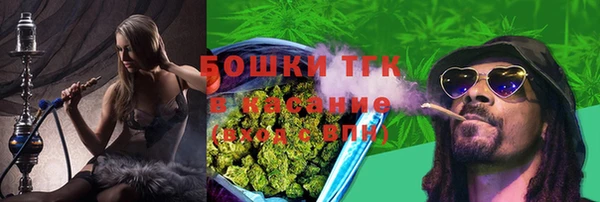 индика Белоозёрский